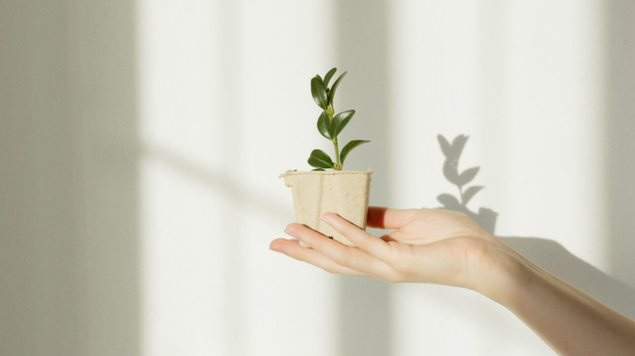 Earth Day Eco-Collection