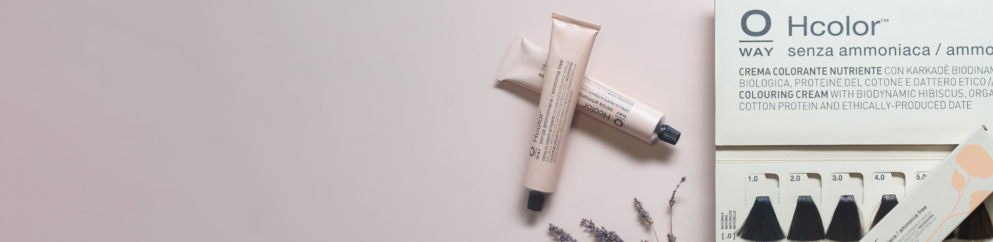 Black Friday - Clean Color